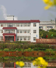 高峰碳酸钙有限公司